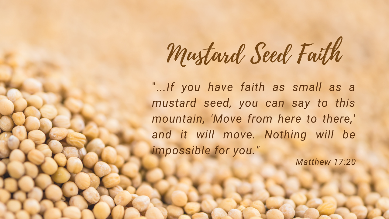 Mustard Seed Faith.png